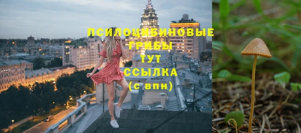 героин Алексин